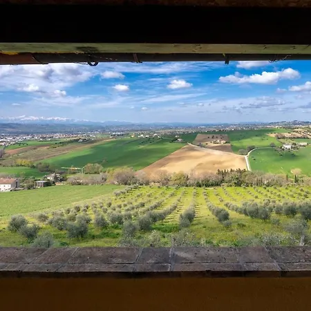 La Terrazza Tra Gli Ulivi - Piscina E Relax *