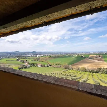 La Terrazza Tra Gli Ulivi - Piscina E Relax Apartman