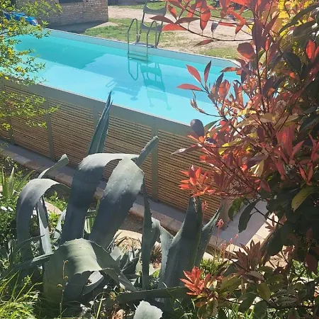 La Terrazza Tra Gli Ulivi - Piscina E Relax Civitanova Alta