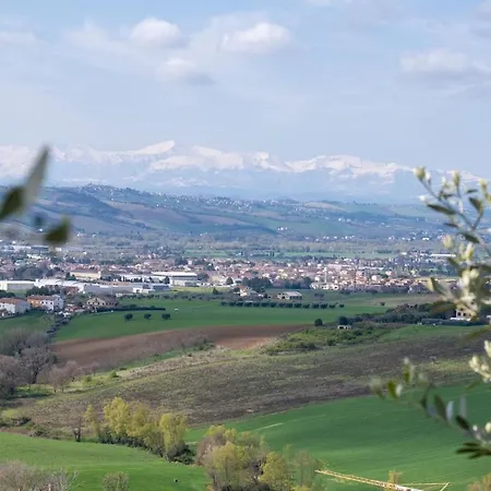 La Terrazza Tra Gli Ulivi - Piscina E Relax * Civitanova Alta