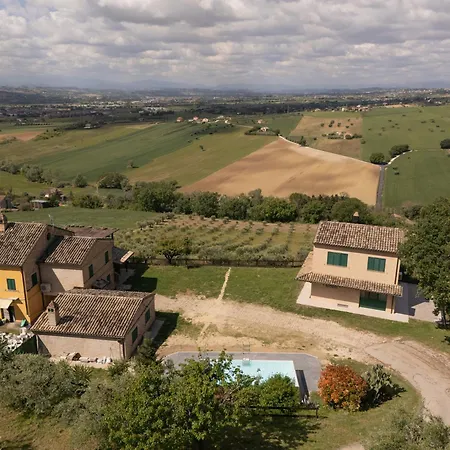 Apartman La Terrazza Tra Gli Ulivi - Piscina E Relax