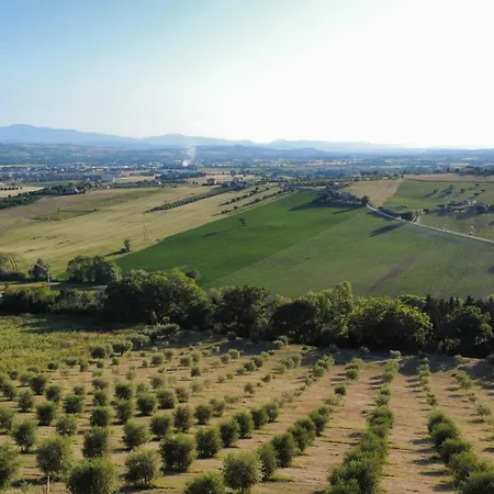 La Terrazza Tra Gli Ulivi - Piscina E Relax Apartmán *