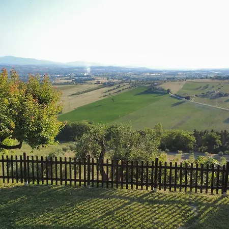 La Terrazza Tra Gli Ulivi - Piscina E Relax